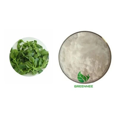 Andrographis paniculata Extrait Andrographolide 5% 10% 20% 30% 50% 98% 99%