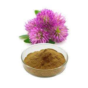 Meilleur extrait de trèfle rouge