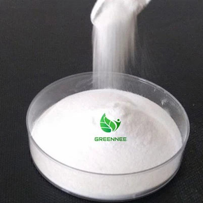 La L-leucine peut-elle aider à soulager les problèmes respiratoires ?