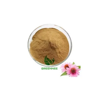 Échinacée extrait les polyphénols 4% 7% (UV)