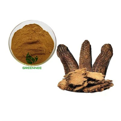 L'extrait de nèfle est-il bon pour la vésicule biliaire ?