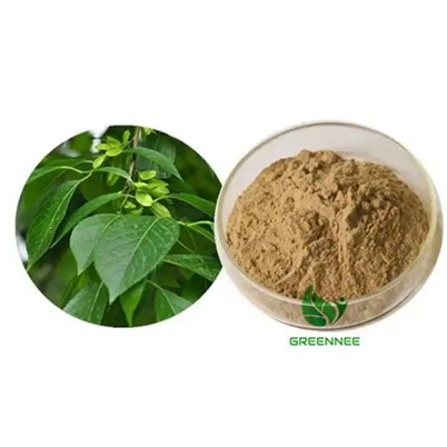 Extrait d'Eucommia 10:1 à 200:1