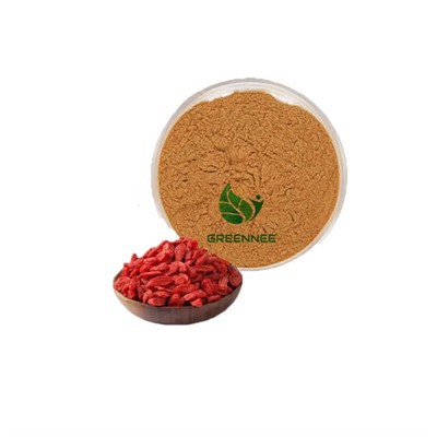 Poudre de wolfberry rouge lyophilisé