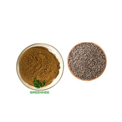 Great Burdock Achene Extract Arctiin 10% 20% 40% (HPLC) CAS 127-40-2