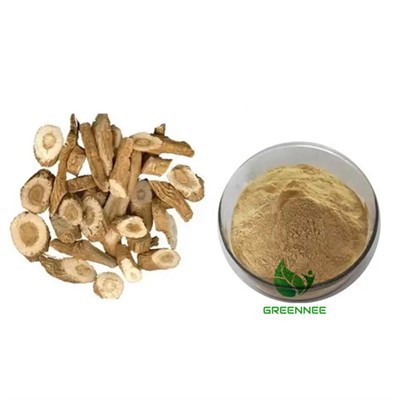 Extrait de racine d'Isatis 10:1 à 200:1