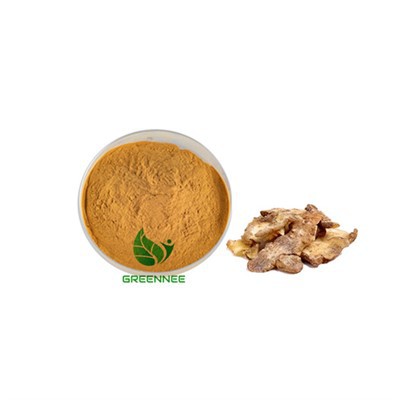 Extrait de rhizome SolomonSel 10: 1; 50: 1; 100: 1 200: 1